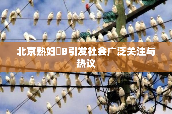 北京熟妇槡B引发社会广泛关注与热议