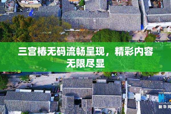 三宫椿无码流畅呈现，精彩内容无限尽显