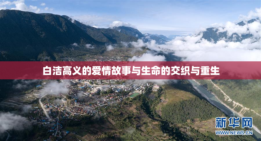 白洁高义的爱情故事与生命的交织与重生