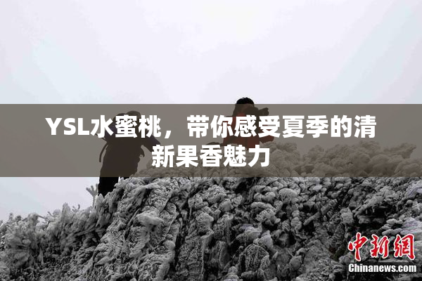 YSL水蜜桃，带你感受夏季的清新果香魅力
