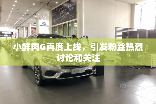 小鲜肉G再度上线，引发粉丝热烈讨论和关注