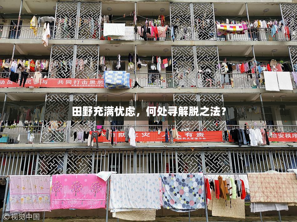 田野充满忧虑，何处寻解脱之法？