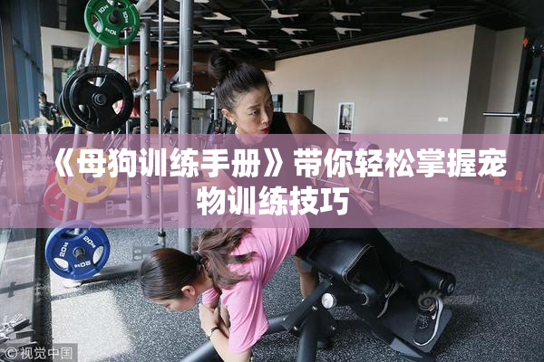 《母狗训练手册》带你轻松掌握宠物训练技巧