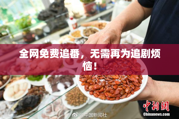 全网免费追番，无需再为追剧烦恼！
