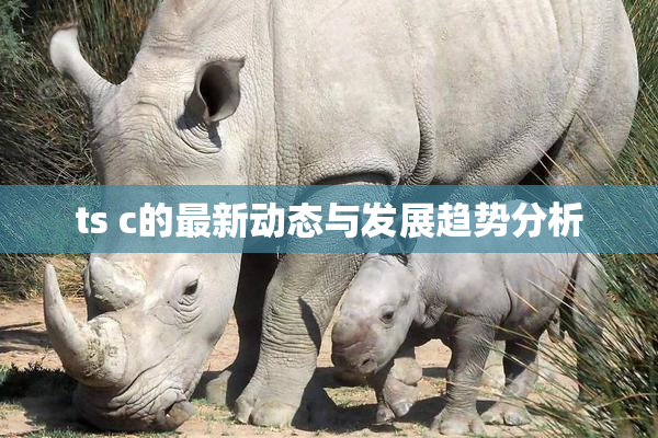 ts c的最新动态与发展趋势分析