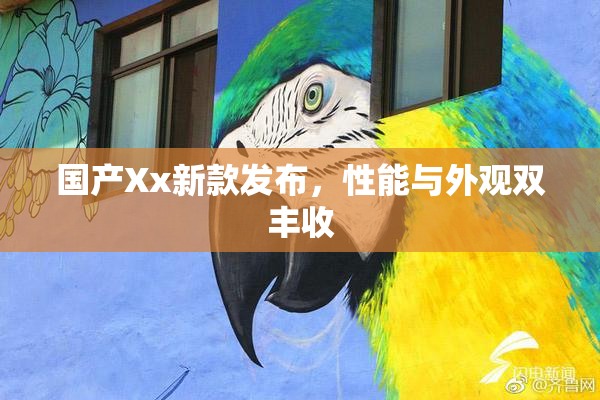 国产Xx新款发布，性能与外观双丰收