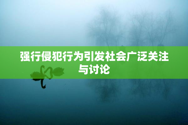 强行侵犯行为引发社会广泛关注与讨论