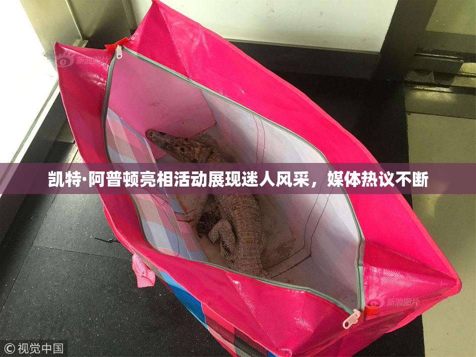 凯特·阿普顿亮相活动展现迷人风采，媒体热议不断