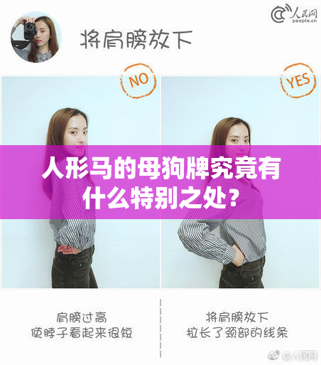 人形马的母狗牌究竟有什么特别之处？