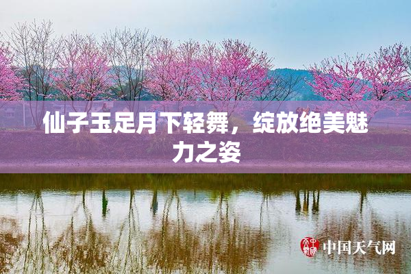 仙子玉足月下轻舞，绽放绝美魅力之姿