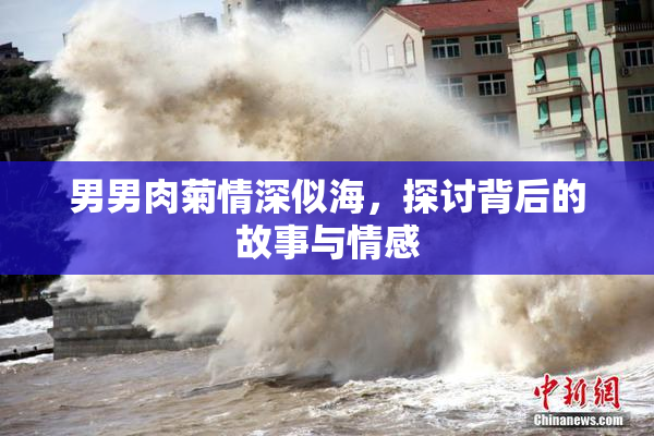 男男肉菊情深似海，探讨背后的故事与情感
