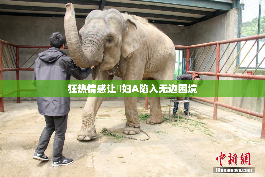 狂热情感让婬妇A陷入无边困境