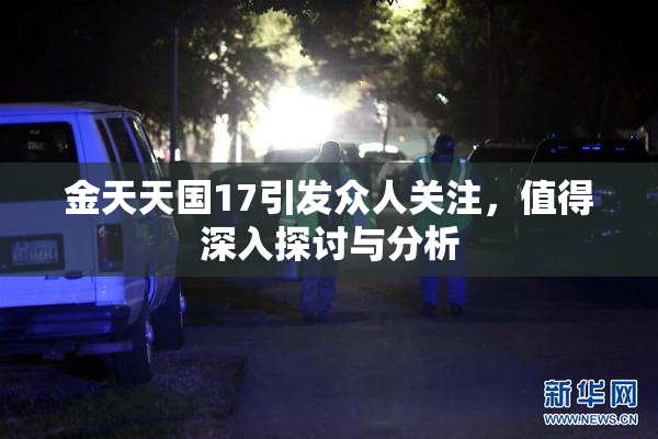 金天天国17引发众人关注，值得深入探讨与分析