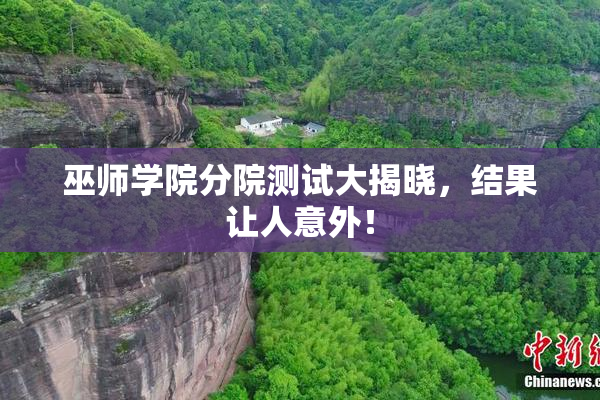 巫师学院分院测试大揭晓，结果让人意外！