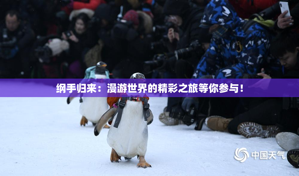 纲手归来：漫游世界的精彩之旅等你参与！