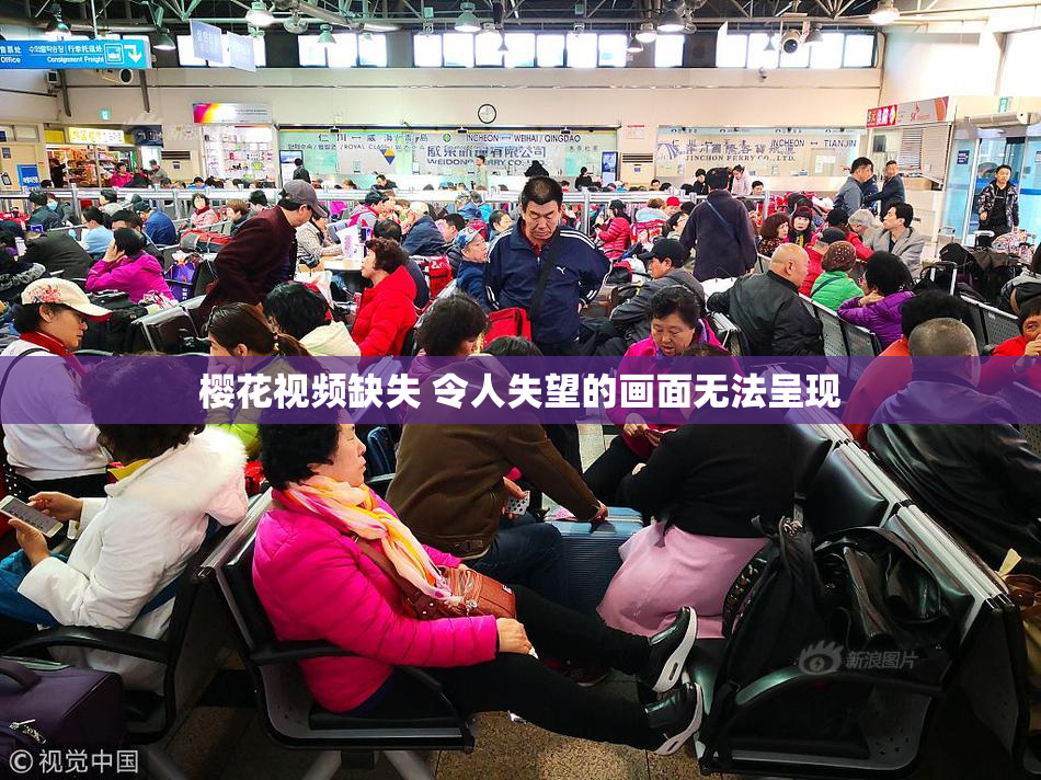 樱花视频缺失 令人失望的画面无法呈现
