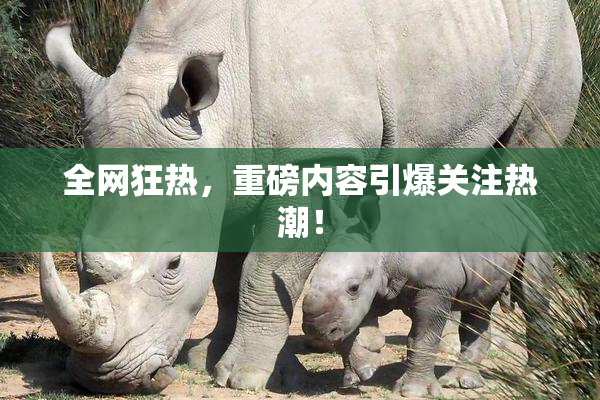 全网狂热，重磅内容引爆关注热潮！