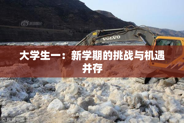 大学生一：新学期的挑战与机遇并存