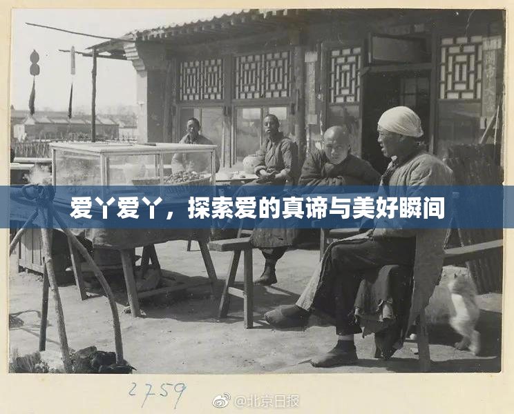爱丫爱丫，探索爱的真谛与美好瞬间