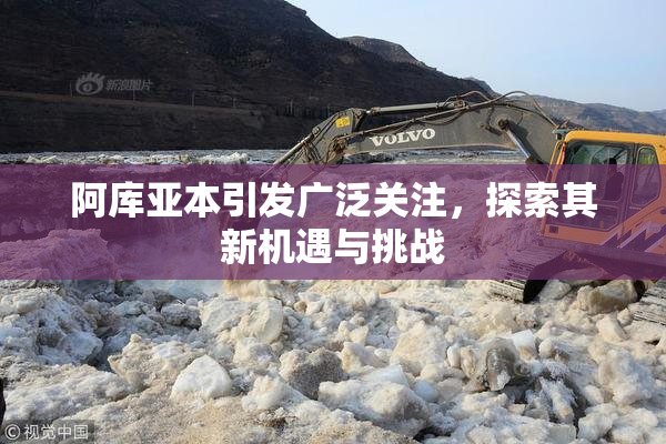 阿库亚本引发广泛关注，探索其新机遇与挑战