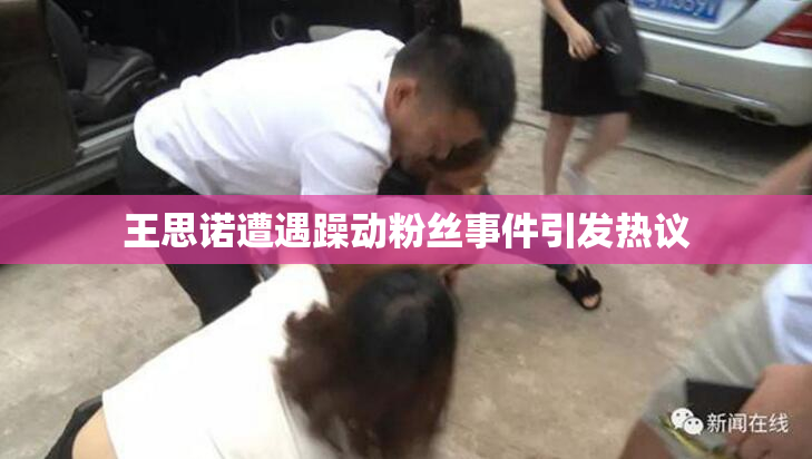 王思诺遭遇躁动粉丝事件引发热议