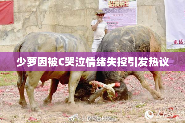 少萝因被C哭泣情绪失控引发热议