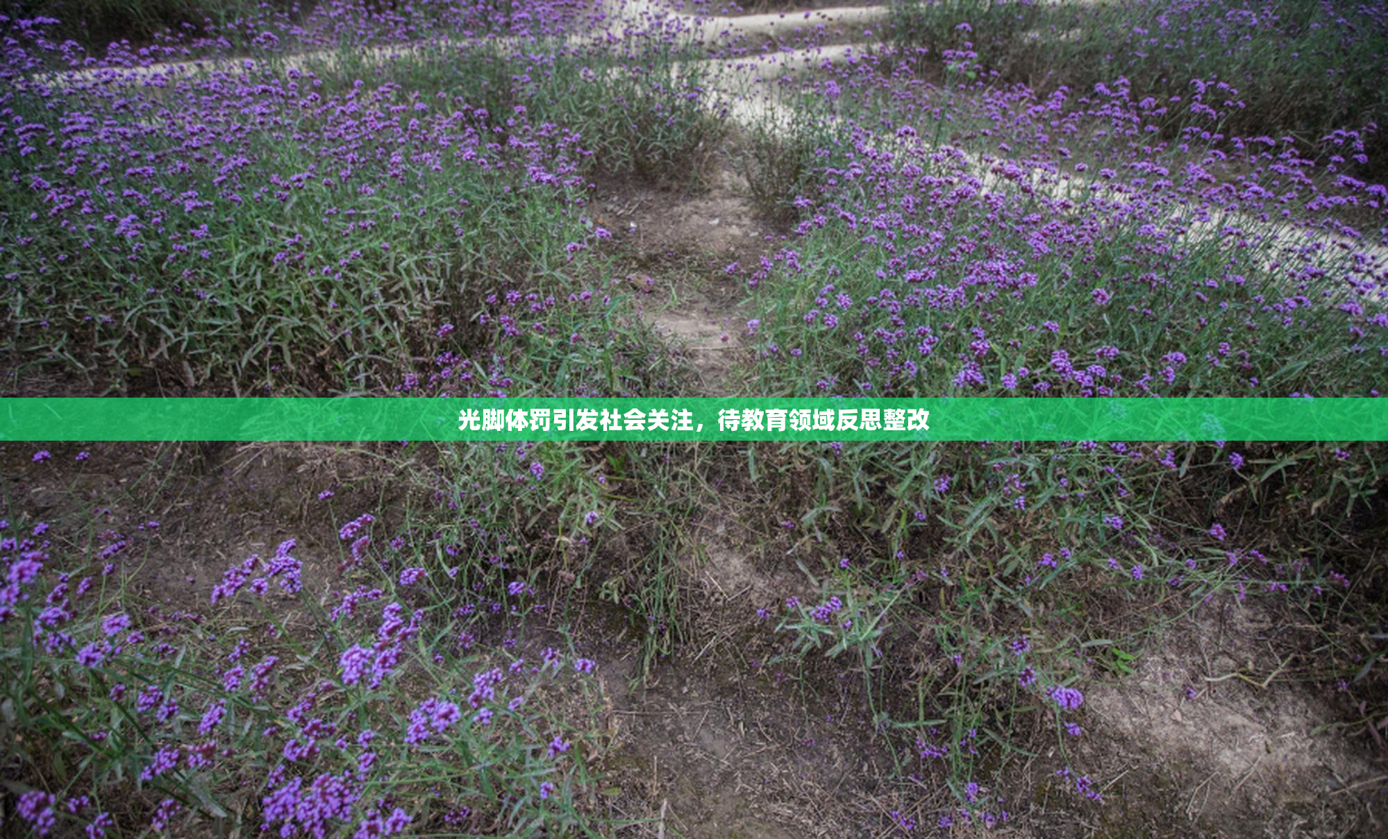 光脚体罚引发社会关注，待教育领域反思整改