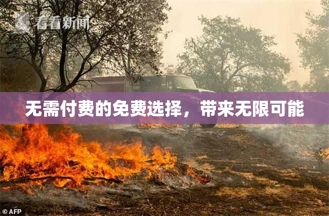 无需付费的免费选择，带来无限可能