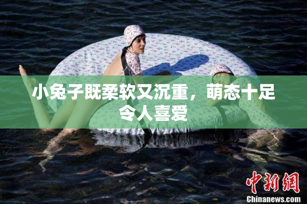 小兔子既柔软又沉重，萌态十足令人喜爱