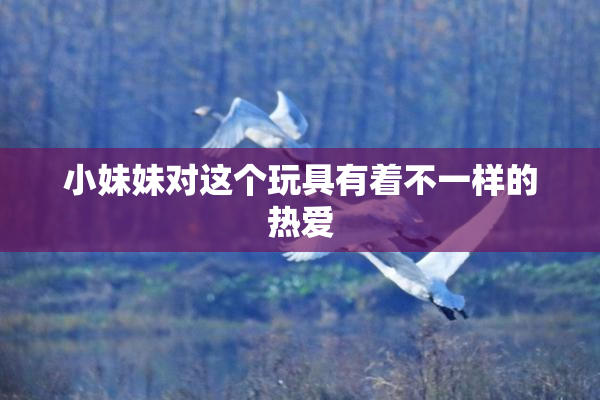 小妹妹对这个玩具有着不一样的热爱