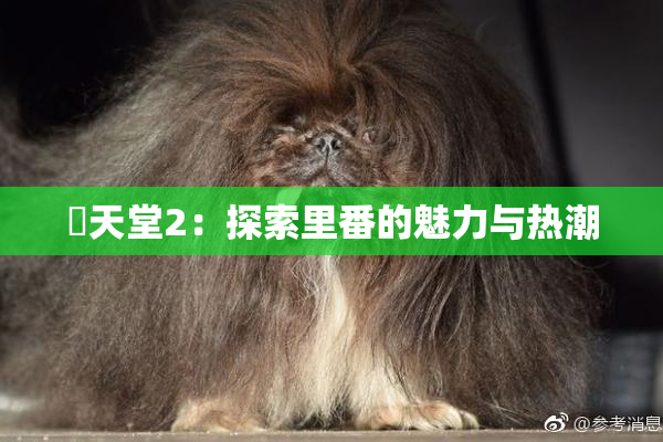 妺天堂2：探索里番的魅力与热潮