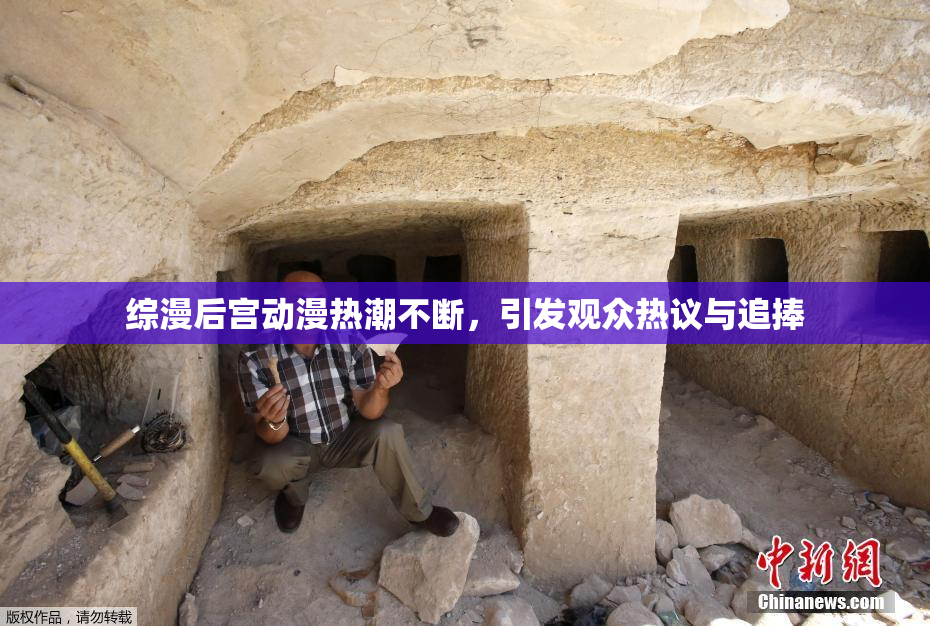 综漫后宫动漫热潮不断，引发观众热议与追捧