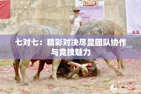 七对七：精彩对决尽显团队协作与竞技魅力