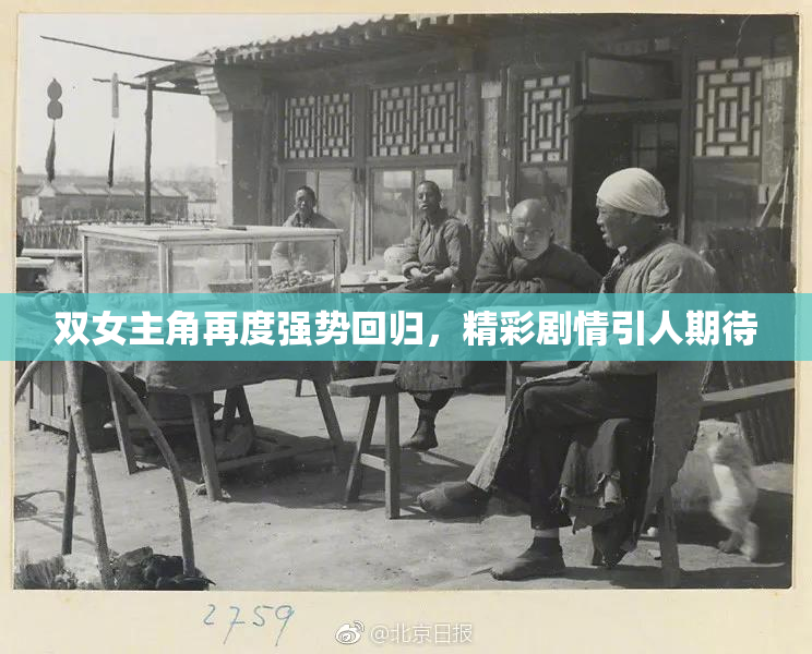 双女主角再度强势回归，精彩剧情引人期待