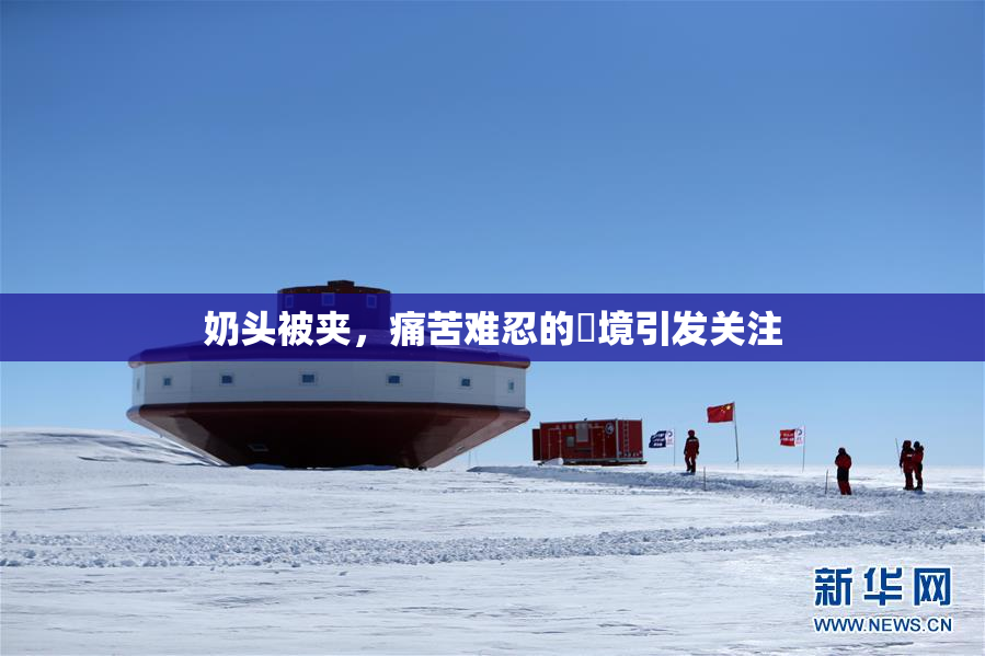 奶头被夹，痛苦难忍的囧境引发关注