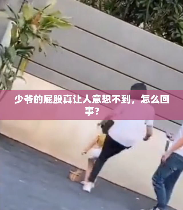 少爷的屁股真让人意想不到，怎么回事？