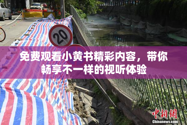 免费观看小黄书精彩内容，带你畅享不一样的视听体验