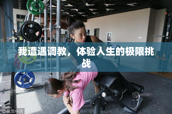 我遭遇调教，体验人生的极限挑战