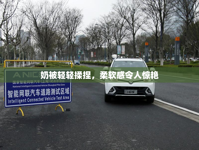 奶被轻轻揉捏，柔软感令人惊艳