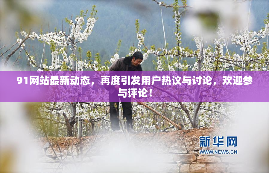91网站最新动态，再度引发用户热议与讨论，欢迎参与评论！