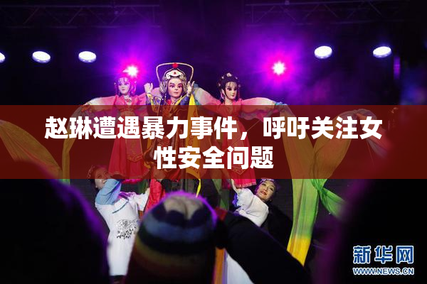 赵琳遭遇暴力事件，呼吁关注女性安全问题