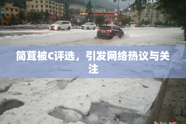 简茸被C评选，引发网络热议与关注