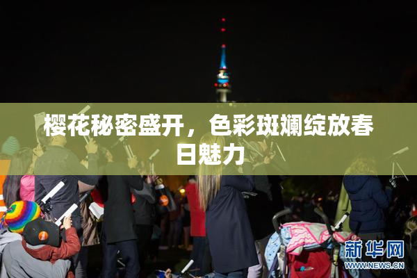 樱花秘密盛开，色彩斑斓绽放春日魅力
