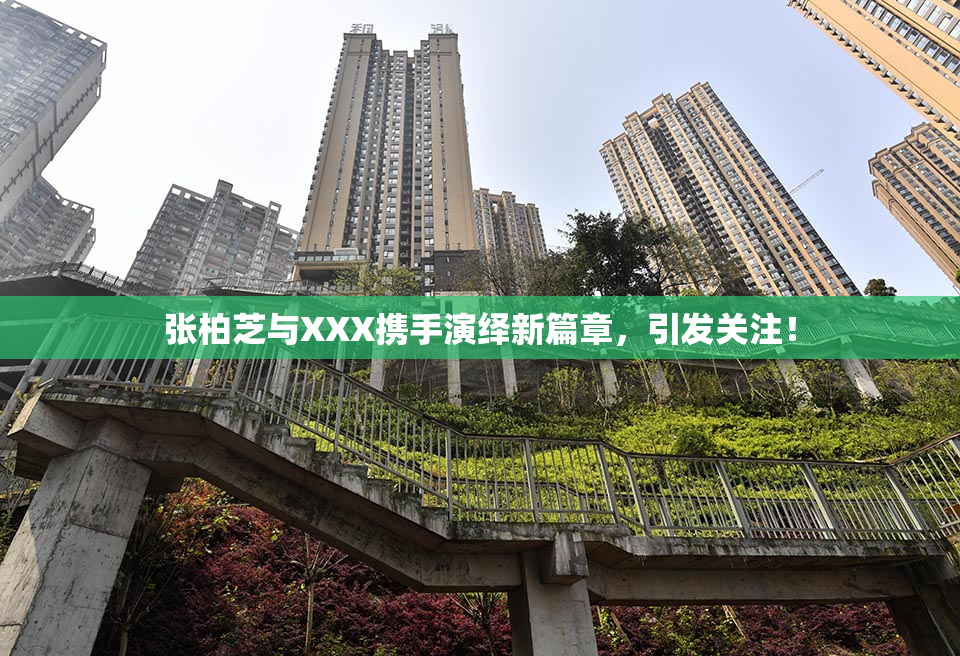 张柏芝与XXX携手演绎新篇章，引发关注！
