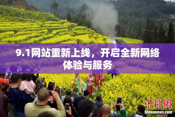 9.1网站重新上线，开启全新网络体验与服务