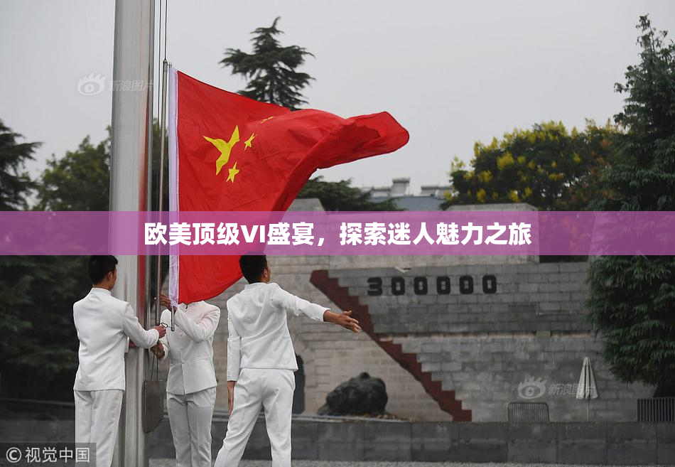 欧美顶级VI盛宴，探索迷人魅力之旅
