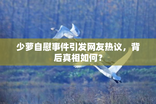 少萝自慰事件引发网友热议，背后真相如何？