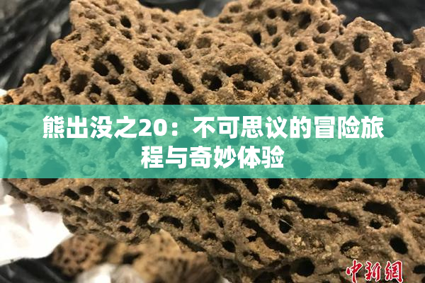 熊出没之20：不可思议的冒险旅程与奇妙体验