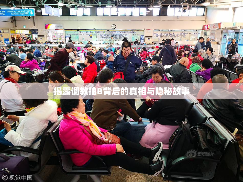 揭露调教抽B背后的真相与隐秘故事