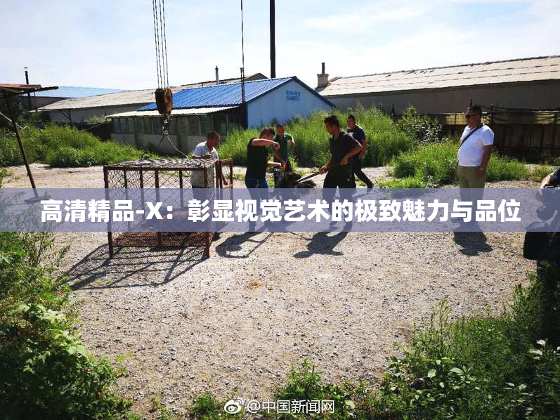 高清精品-X：彰显视觉艺术的极致魅力与品位